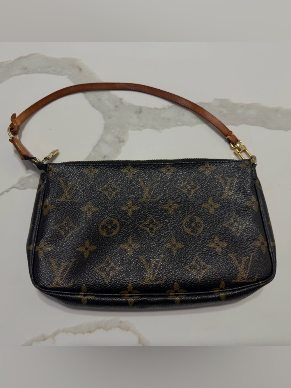 Louis Vuitton Pochette Accessories Monogram Canvas Bag